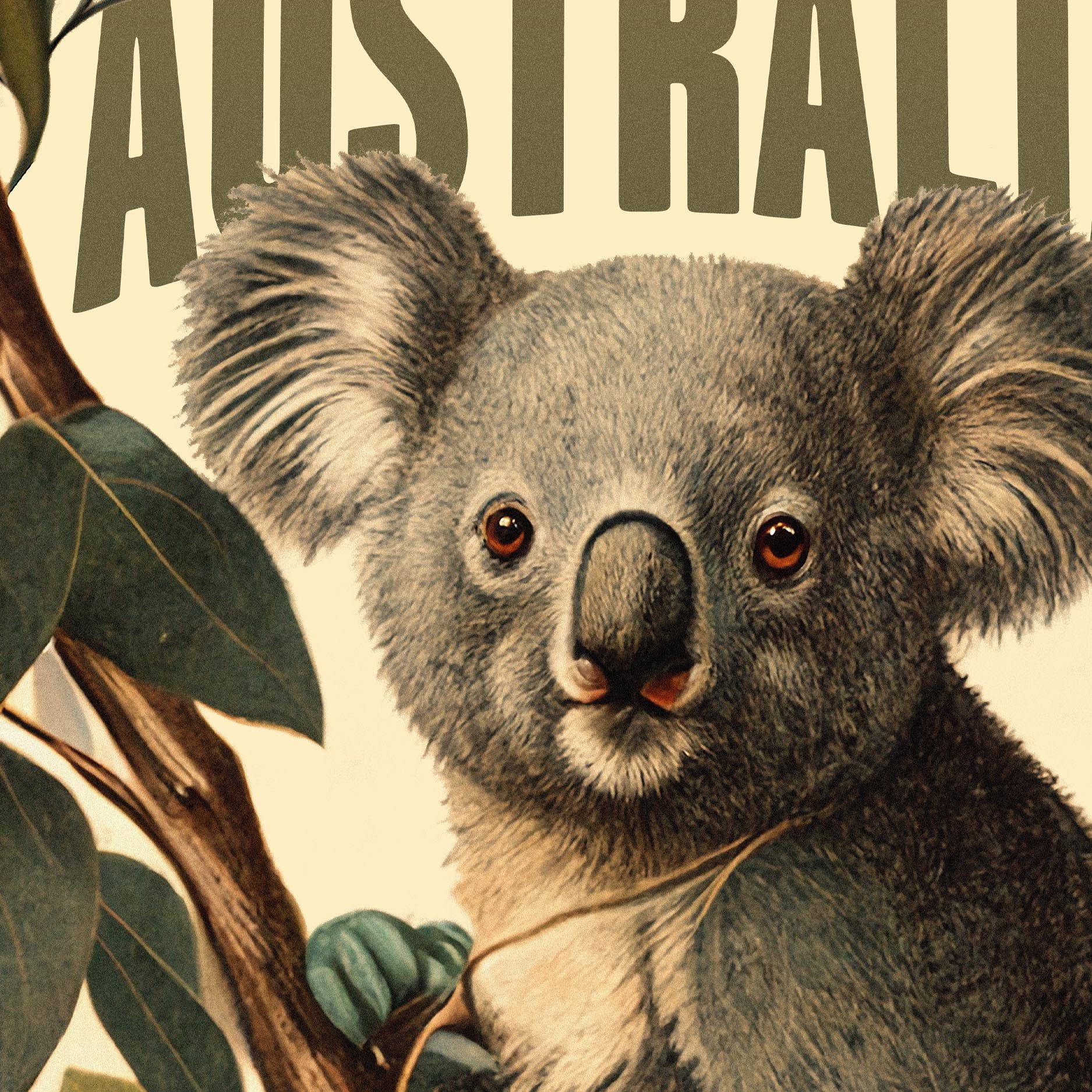 Koala - A2 Premium Matte Poster