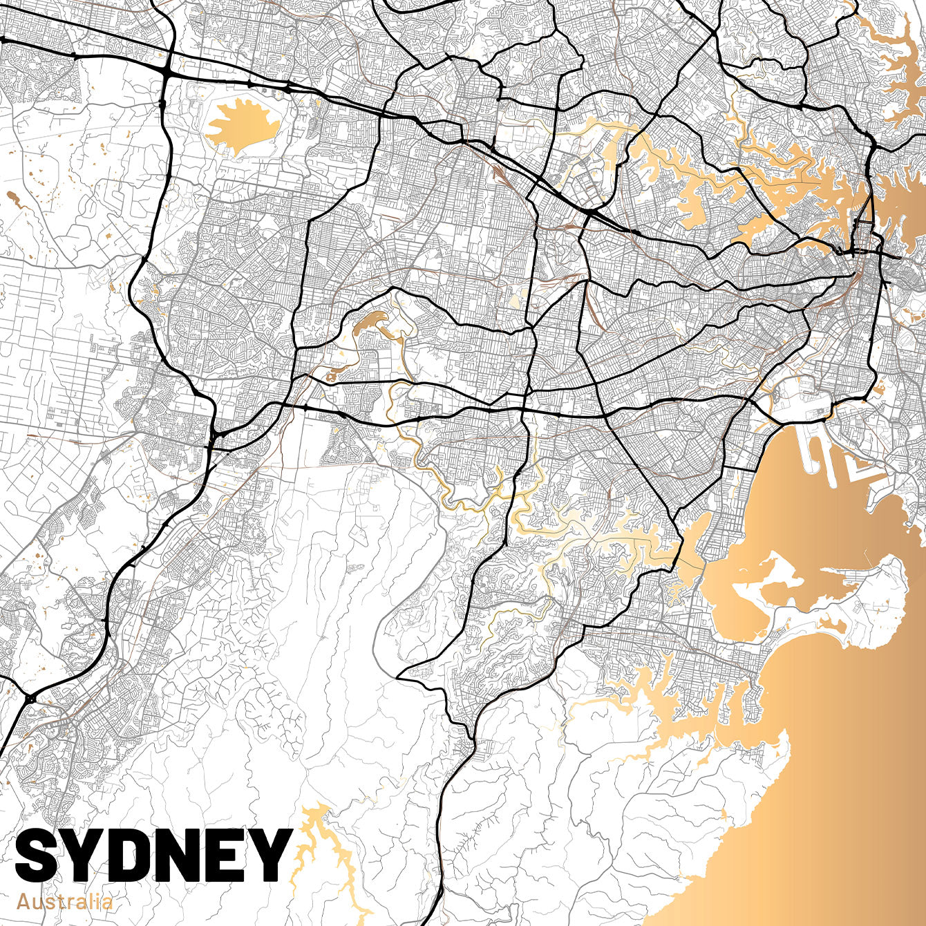 Sydney Map (Light) - Large Premium Matte Paper Wooden Framed Poster