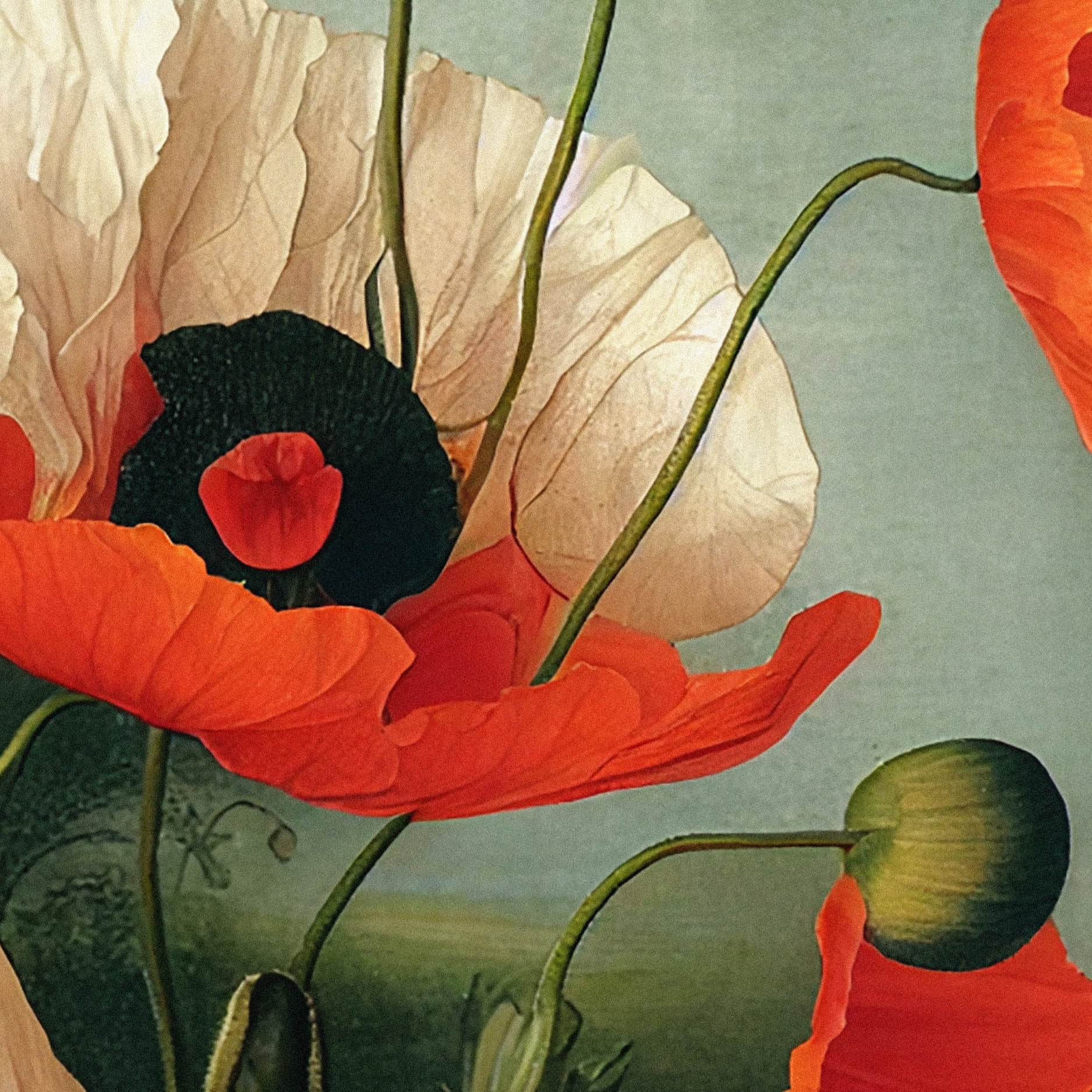 Vintage Poppies - A2 Premium Matte Poster