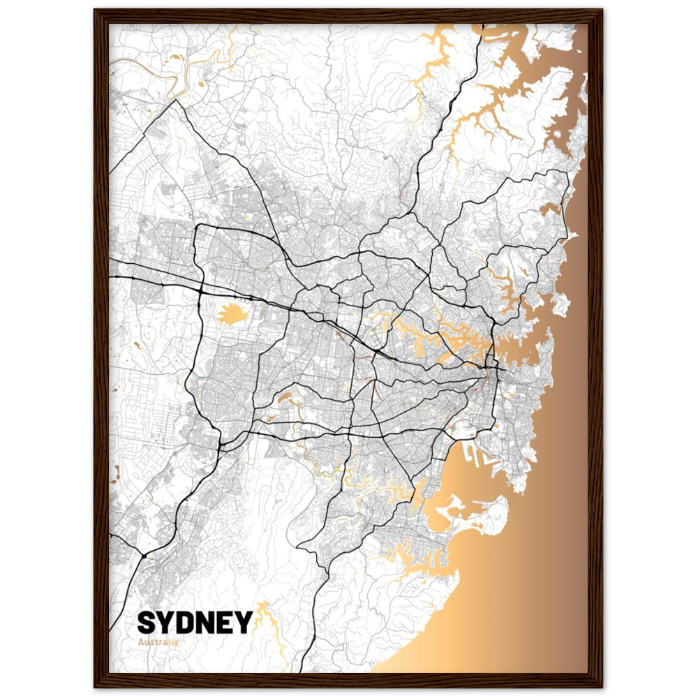 Sydney Map (Light) - Large Premium Matte Paper Wooden Framed Poster