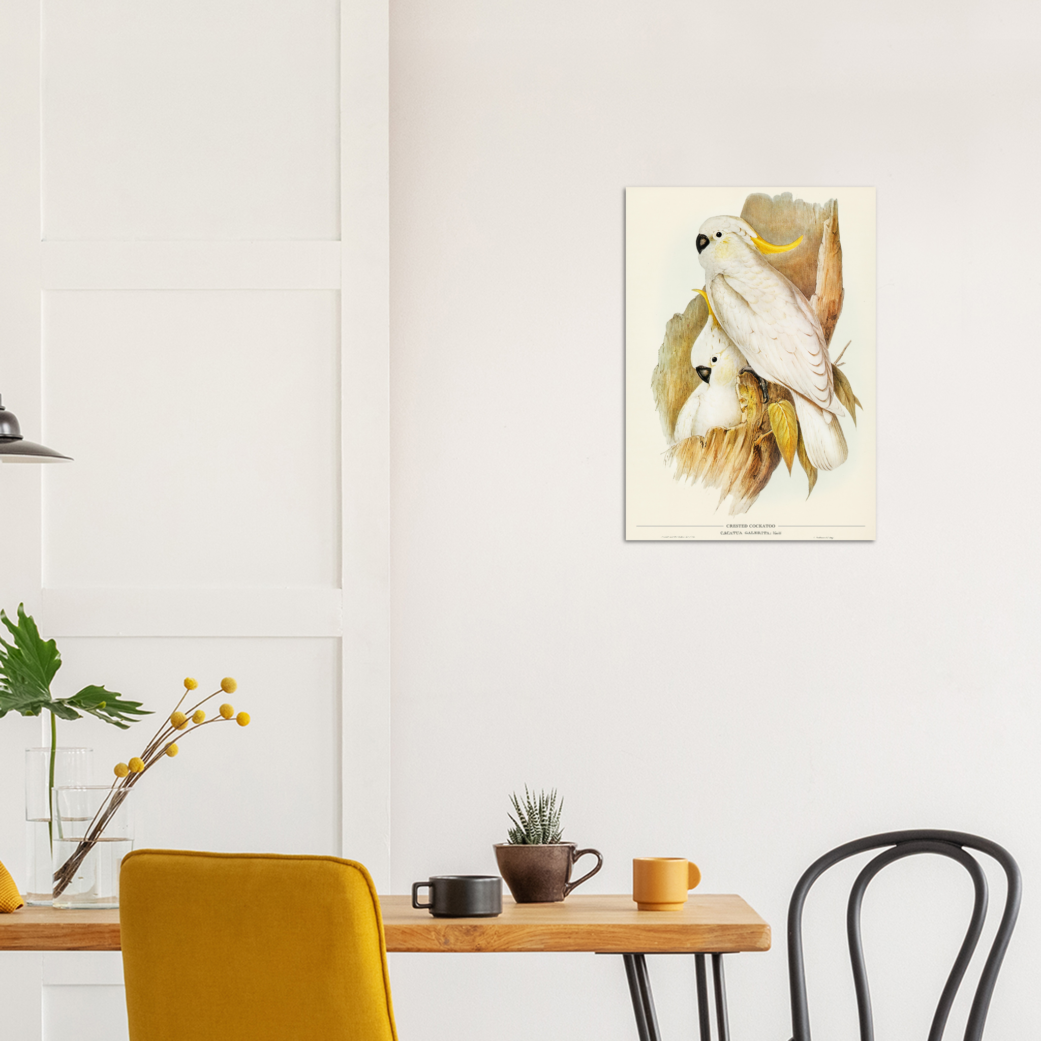 Crested Cockatoo - A2 Premium Matte Poster