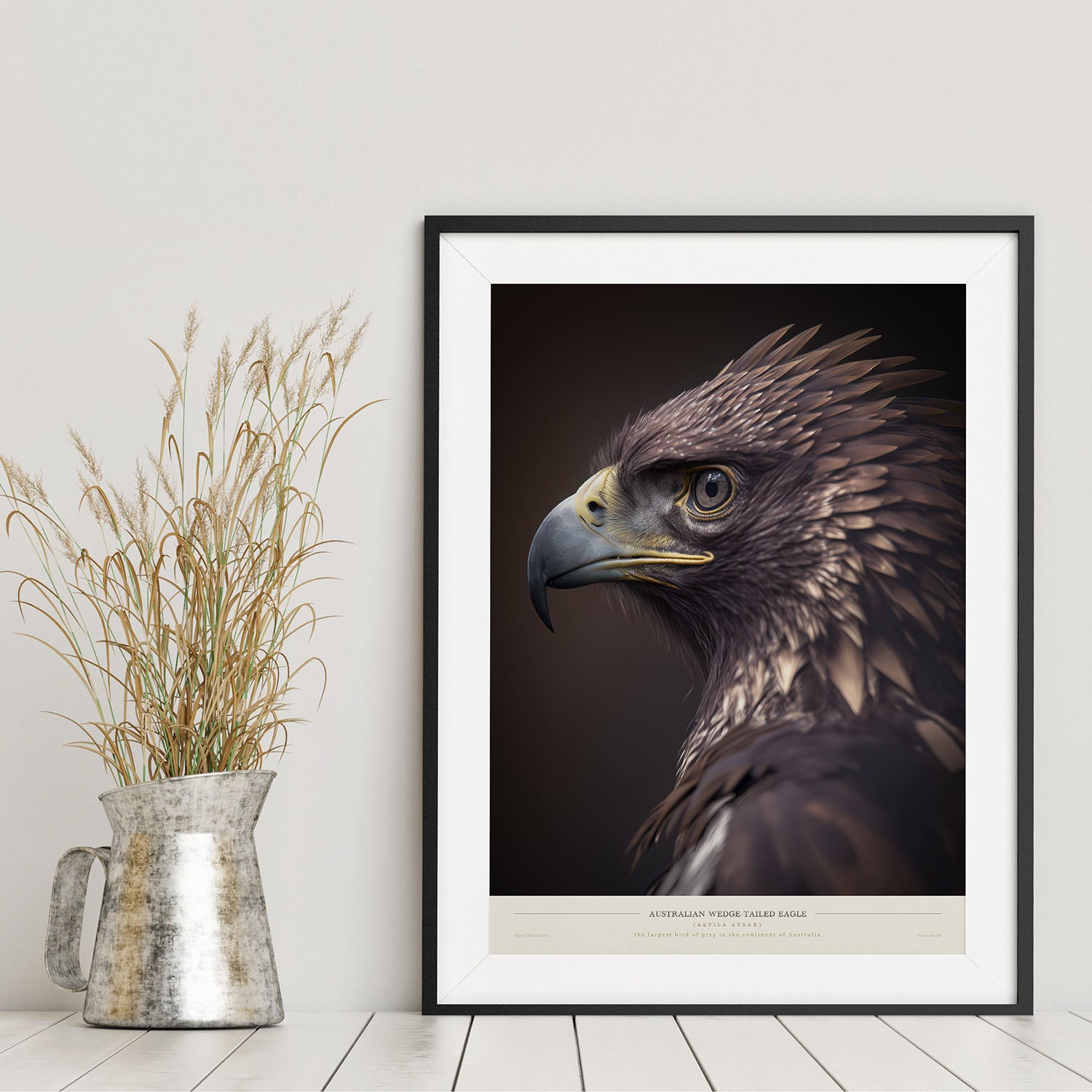 Australian Wedge-Tailed Eagle - A2 Premium Matte Poster