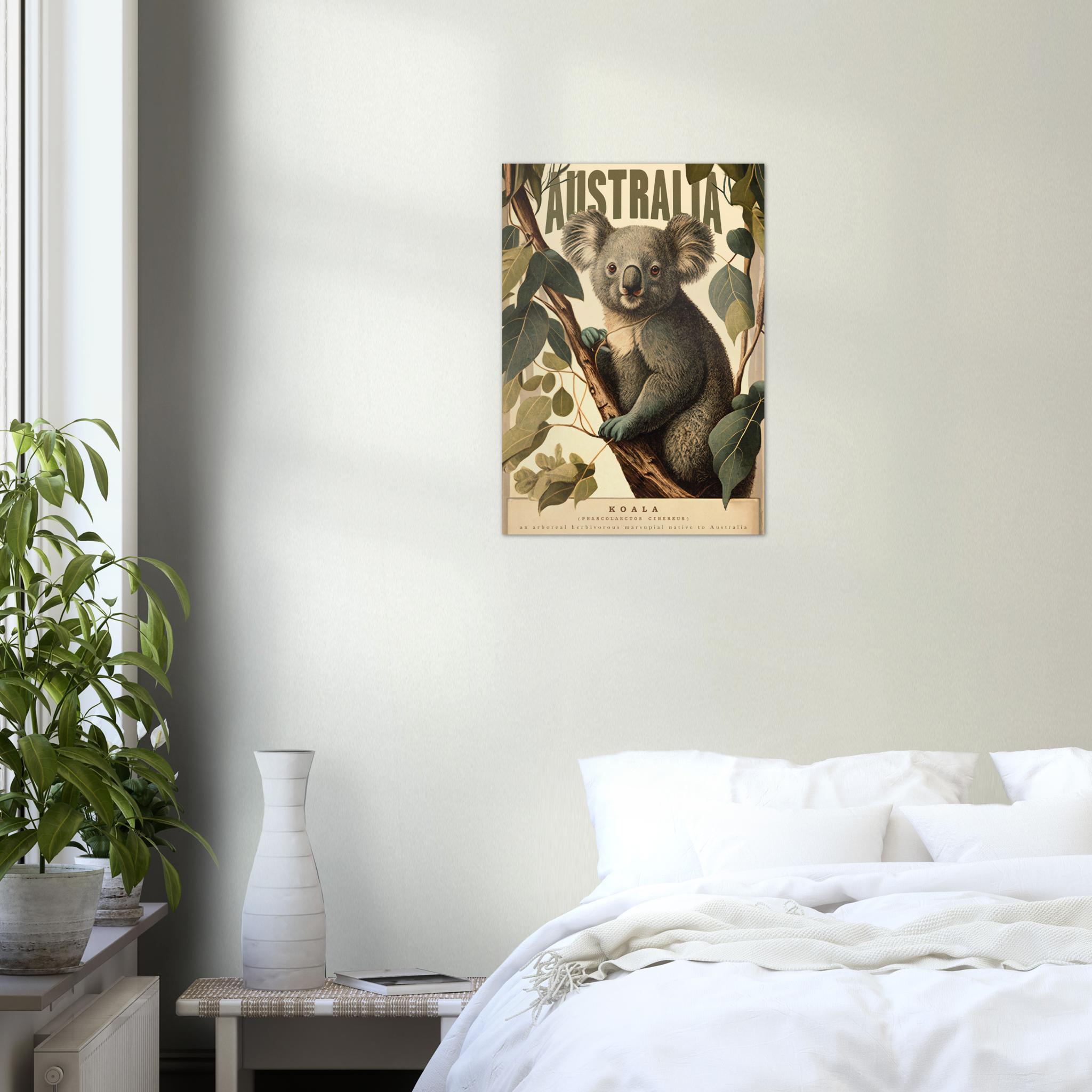 Koala - A2 Premium Matte Poster