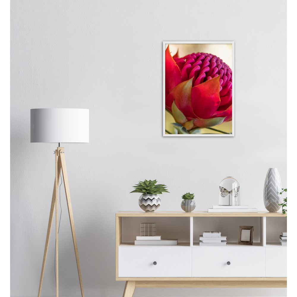 Waratah - Large Premium Matte Paper Wooden Framed Poster